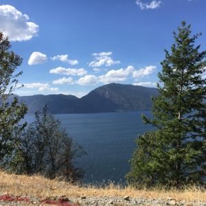 Meet your Posher, Marta